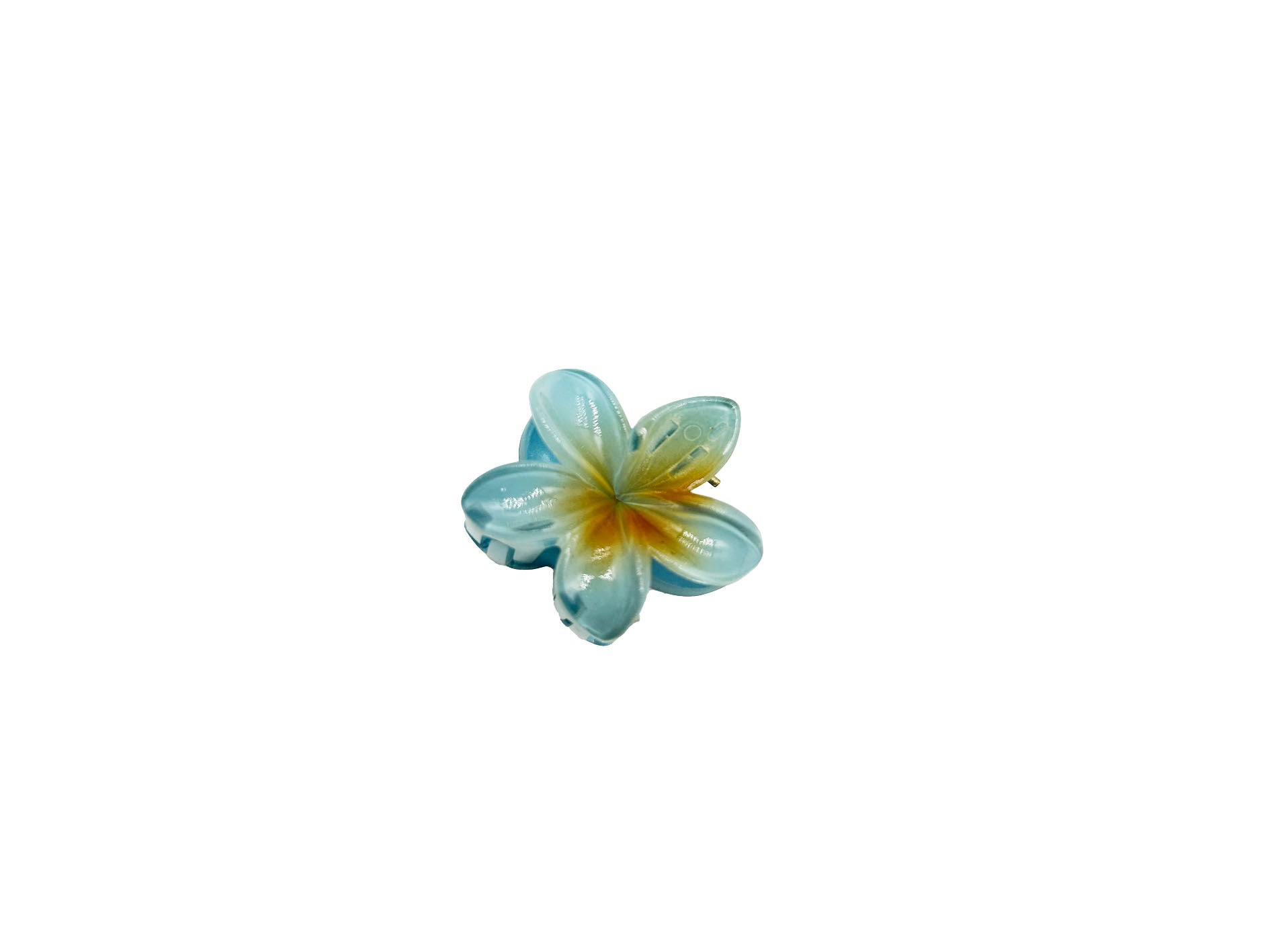 2d62ac9aca771373a4c955f9b8f080b