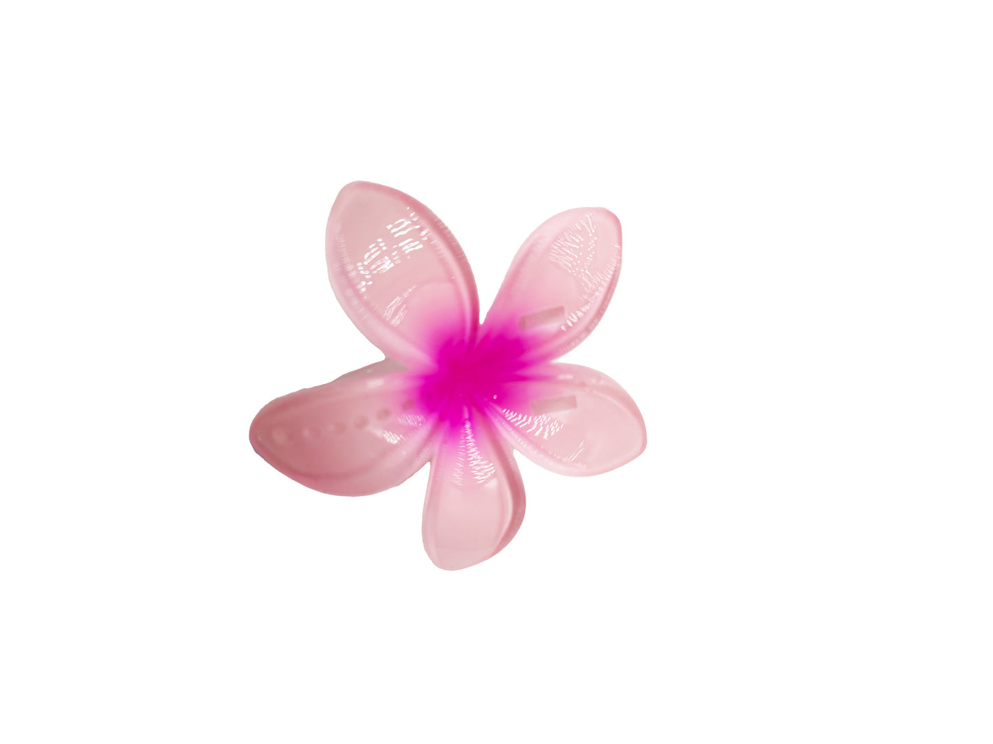 559d4b8f1d5fbcec770be4d902e847ab